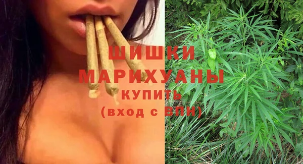 МДПВ Михайлов