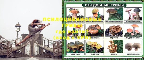 мет Новозыбков