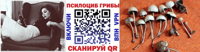 Галлюциногенные грибы Magic Shrooms Яблоновский