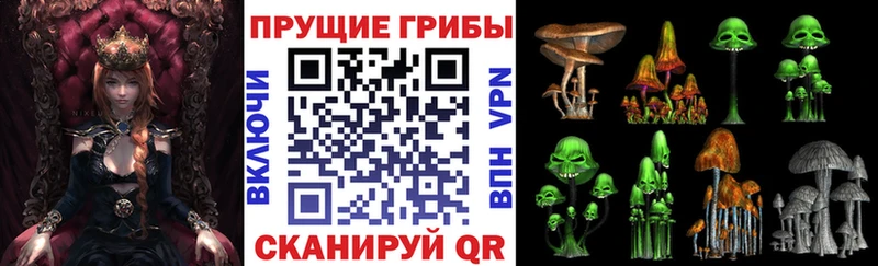 ОМГ ОМГ маркетплейс  Яблоновский  Галлюциногенные грибы Psilocybe 